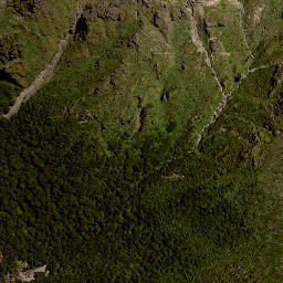 Satellite imagery of HIKURANGI, NZ