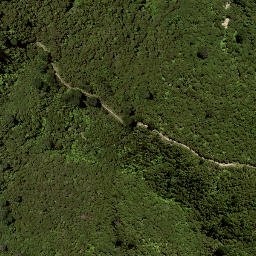 Satellite imagery of Z TAUMATAOHURIHIA, NZ