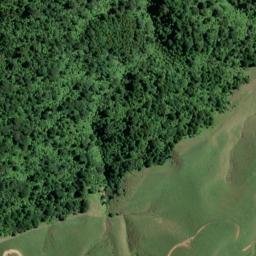 Satellite imagery of 6491, NZ
