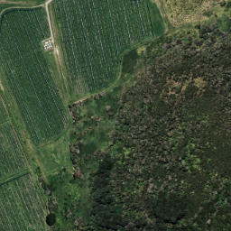 Satellite imagery of 7071, NZ