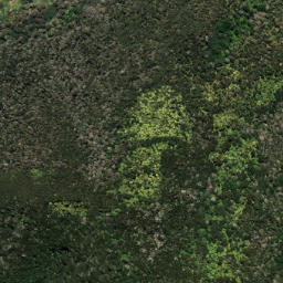Satellite imagery of 7071, NZ
