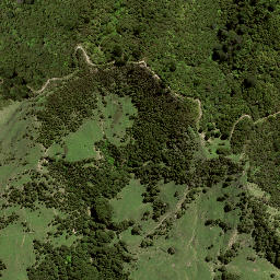 Satellite imagery of Z TAUMATAOHURIHIA, NZ