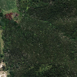 Satellite imagery of 7071, NZ
