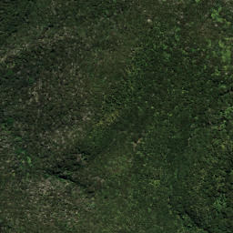 Satellite imagery of 7071, NZ