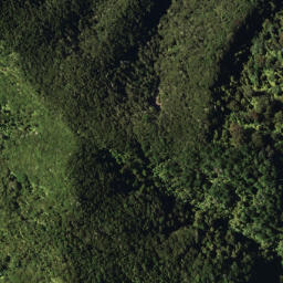 Satellite imagery of 777A WHETU, NZ