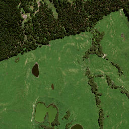 Satellite imagery of 191 KAREWA, NZ