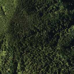 Satellite imagery of 777A WHETU, NZ