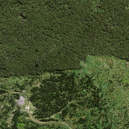 Satellite imagery of 7193, NZ