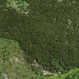 Satellite imagery of 7193, NZ