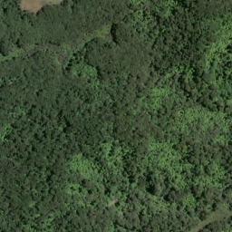 Satellite imagery of Te Heru Point, NZ