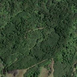 Satellite imagery of Kairere Point, NZ