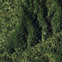 Satellite imagery of 777A WHETU, NZ