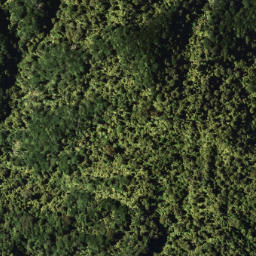 Satellite imagery of 777A WHETU, NZ