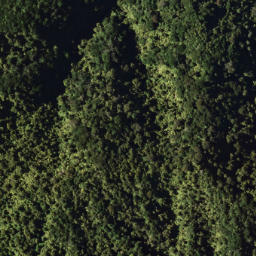 Satellite imagery of 777A WHETU, NZ