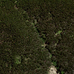 Satellite imagery of 191 KAREWA, NZ
