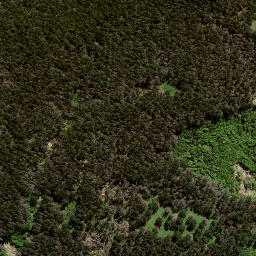 Satellite imagery of 191 KAREWA, NZ