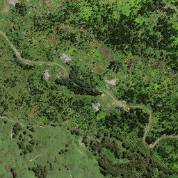 Satellite imagery of 7193, NZ