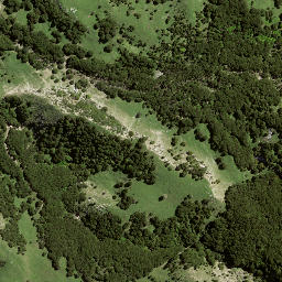 Satellite imagery of 194 OTUAURI, NZ