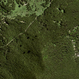 Satellite imagery of 194 OTUAURI, NZ