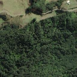Satellite imagery of Te Pahi Point, NZ