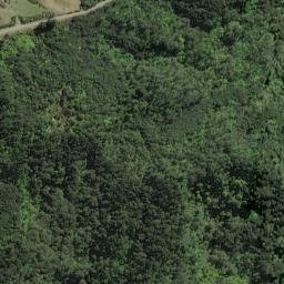 Satellite imagery of Te Pahi Point, NZ