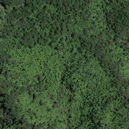 Satellite imagery of Te Pahi Point, NZ