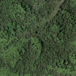 Satellite imagery of Te Heru Point, NZ