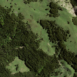 Satellite imagery of 194 OTUAURI, NZ