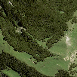 Satellite imagery of 194 OTUAURI, NZ
