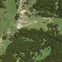 Satellite imagery of 194 OTUAURI, NZ