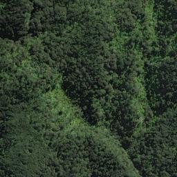 Satellite imagery of Te Pahi Point, NZ