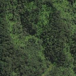 Satellite imagery of Te Pahi Point, NZ