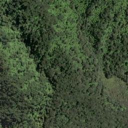 Satellite imagery of Te Pahi Point, NZ