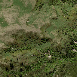 Satellite imagery of ARIA NO 2, NZ