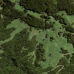 Satellite imagery of 194 OTUAURI, NZ
