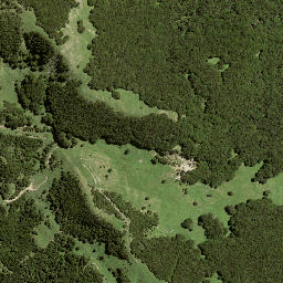 Satellite imagery of 194 OTUAURI, NZ