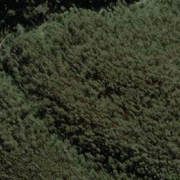 Satellite imagery of Winch Hill, AU