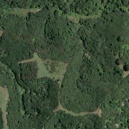 Satellite imagery of Ruaaweke Point, NZ