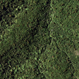 Satellite imagery of 1313 PUKETOETOE, NZ