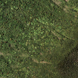 Satellite imagery of 1313 PUKETOETOE, NZ