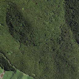 Satellite imagery of Whaikahawai Point, NZ