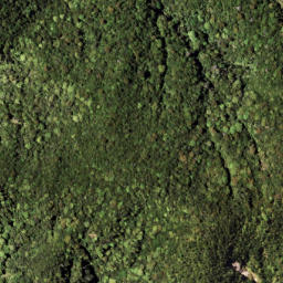 Satellite imagery of 1313 PUKETOETOE, NZ