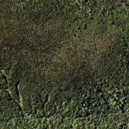 Satellite imagery of PUKETOETOE NO 2, NZ