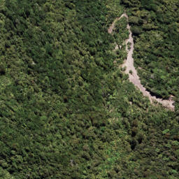 Satellite imagery of 7091, NZ