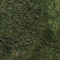 Satellite imagery of 7091, NZ