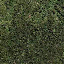 Satellite imagery of 7091, NZ