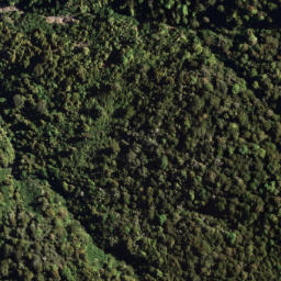 Satellite imagery of 7171, NZ