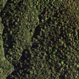 Satellite imagery of 7171, NZ