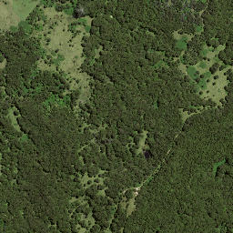 Satellite imagery of 7194, NZ