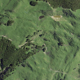 Satellite imagery of Whaikahawai Point, NZ